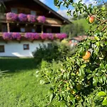 Appartement Steinernes