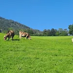Apartamento Steinernes *
